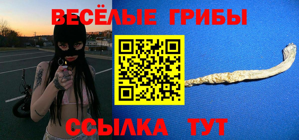 Спасск-Дальний  Галлюциногенные грибы ЛСД  Вход с VPN 